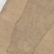 Illustration for article titled The Map That Created New York City